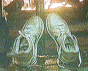 Wet Nikes over an open fire (NOT recommended!) Wet Nikes over an open fire (NOT recommended!)