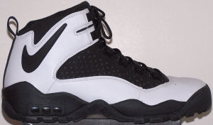 Nike Air Darwin High basketball shoe: white and black with black SWOOSH